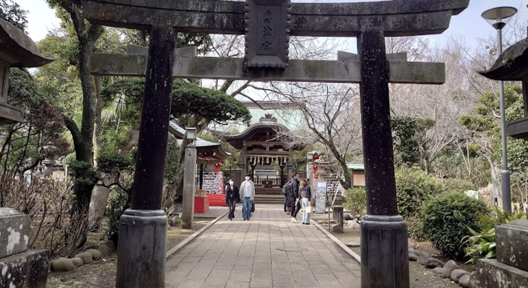 from-samurai-rule-to-seaport-japan-kamakura-enoshima-yokohama-en-8