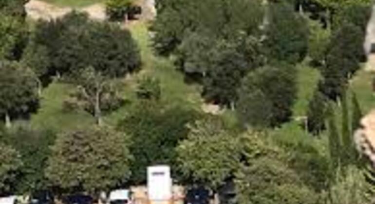 Riserva naturale del Parco di Llevant: visita gratuita di Artà Fornito da AventuraMallorca