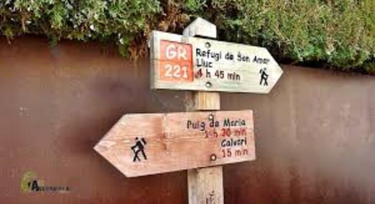 Tour gratuito Lluc-Pollença Spagna &mdash; #3