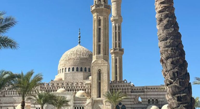 Sharm El Sheikh Archaeological Landmarks Free Tour, Egypt