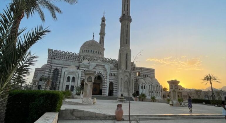 sharm-el-sheikh-archaeological-landmarks-free-tour-en-6