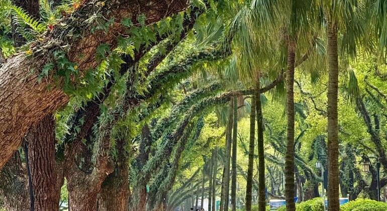 Visite à pied de la ville de Guilin, China