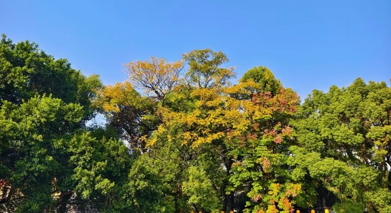 guilin-city-walk-with-multi-language-guide-en-11