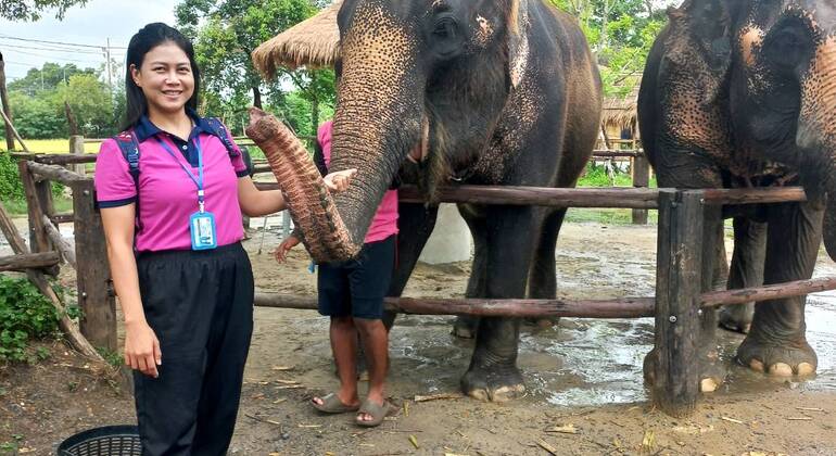 Bangkok: Full-Day Customized Tour with Local Transport Thailand &mdash; #30