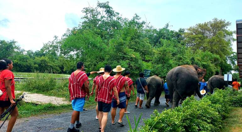 Bangkok: Full-Day Customized Tour with Local Transport Thailand &mdash; #31