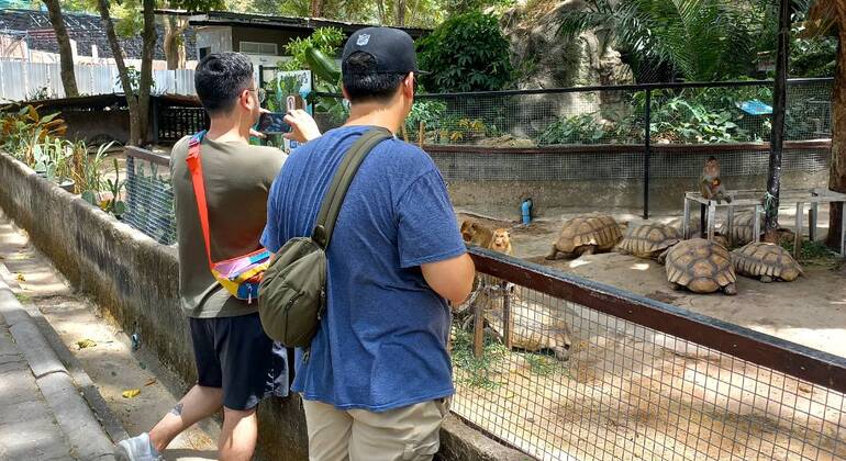 Bangkok: Full-Day Customized Tour with Local Transport Thailand &mdash; #32