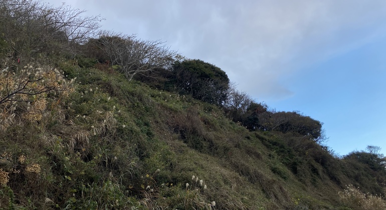 Kamakura Seaside Morning Tour Japan &mdash; #6