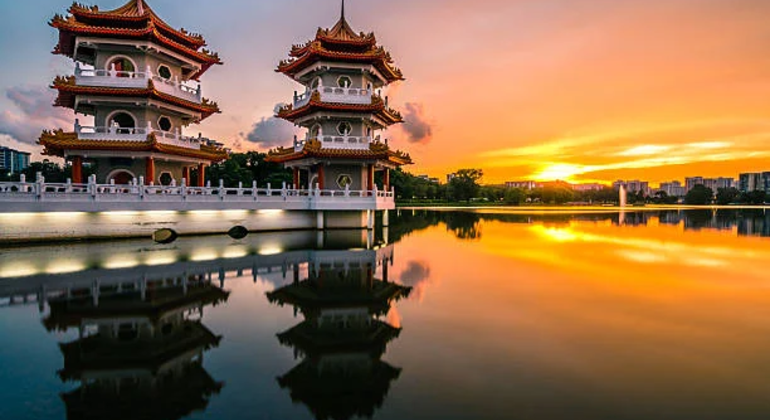 Excursão da natureza de Jurong ao CBD: Jardim Chinês para IMM Singapura &mdash; #2