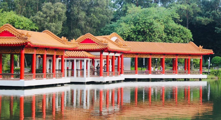 Excursão da natureza de Jurong ao CBD: Jardim Chinês para IMM Singapura &mdash; #3