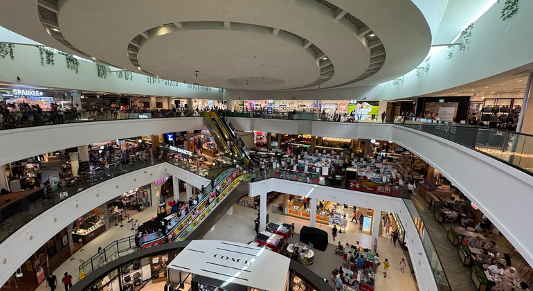 Bedok Hawker Centre to Changi City Point Free Tour of Singapore Singapore &mdash; #2