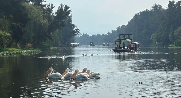 Short on Time Tour of Mexico City Mexico &mdash; #4