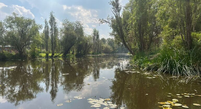 Short on Time Tour of Mexico City Mexico &mdash; #5