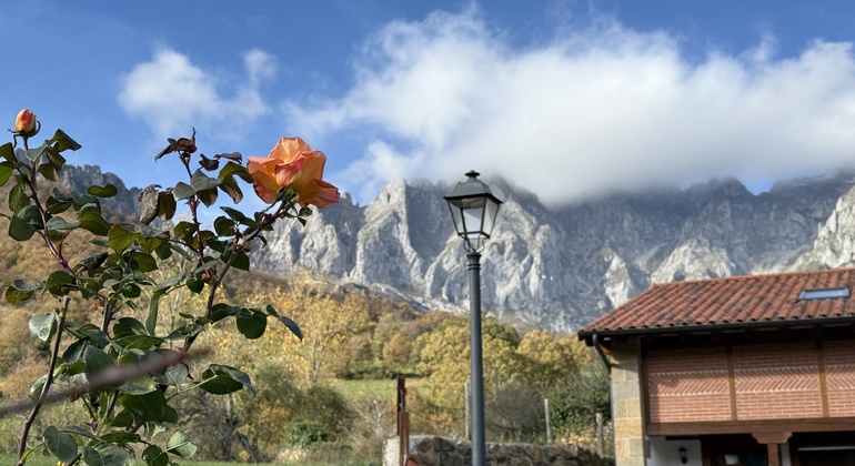 Exkursion nach Mogrovejo und Potes: Heidis Landschaft in den Picos de Europa Spanien &mdash; #3