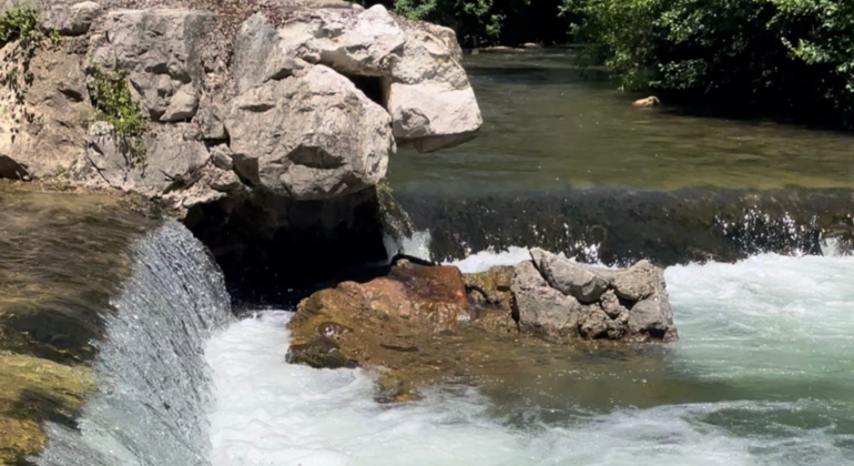Exkursion nach Mogrovejo und Potes: Heidis Landschaft in den Picos de Europa Spanien &mdash; #6