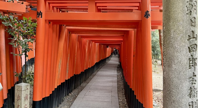 Recorrido a pie gratuito por la mañana temprano por el santuario Fushimi Inari Taisha Japón &mdash; #13
