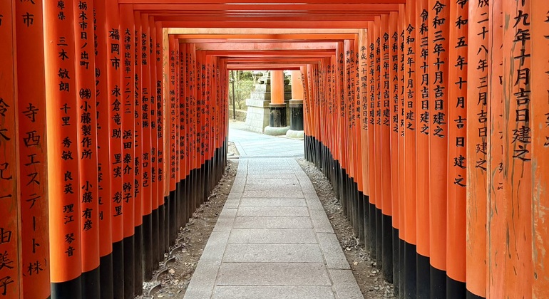 Recorrido a pie gratuito por la mañana temprano por el santuario Fushimi Inari Taisha Japón &mdash; #2