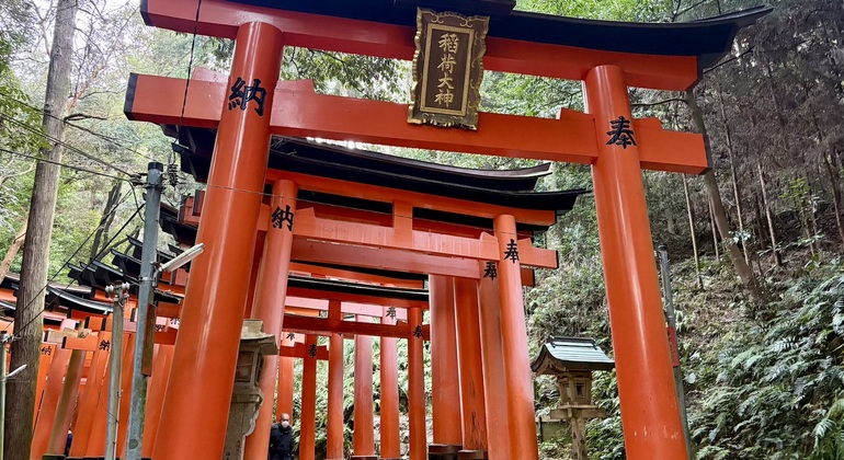 Recorrido a pie gratuito por la mañana temprano por el santuario Fushimi Inari Taisha Japón &mdash; #4