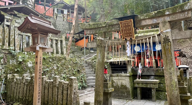Recorrido a pie gratuito por la mañana temprano por el santuario Fushimi Inari Taisha Japón &mdash; #5