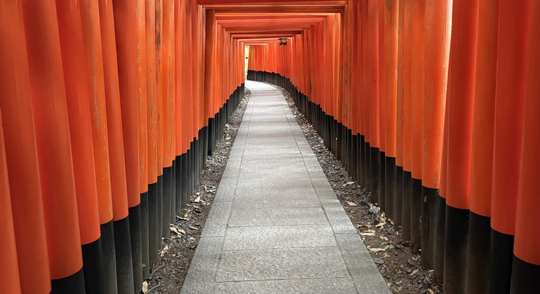 Recorrido a pie gratuito por la mañana temprano por el santuario Fushimi Inari Taisha Japón &mdash; #8