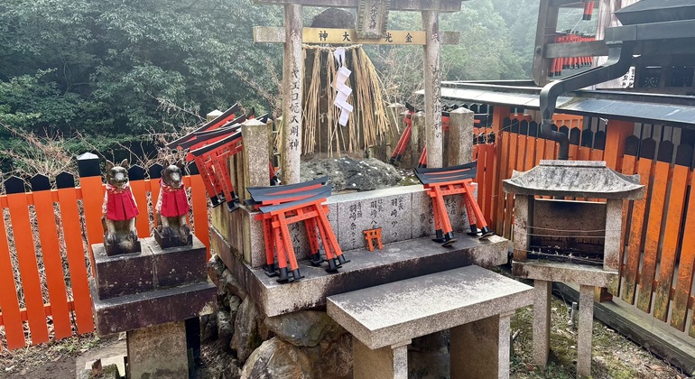 Recorrido a pie gratuito por la mañana temprano por el santuario Fushimi Inari Taisha Japón &mdash; #15