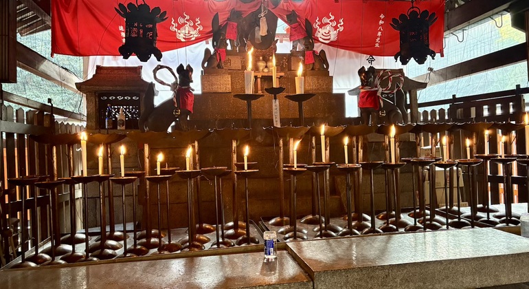 Recorrido a pie gratuito por la mañana temprano por el santuario Fushimi Inari Taisha Japón &mdash; #14