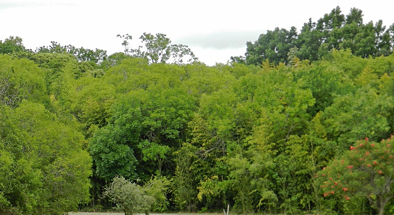 history-nature-and-viticulture-tour-around-colonia-es-2