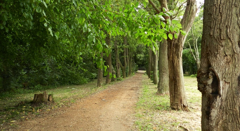 history-nature-and-viticulture-tour-around-colonia-es-6