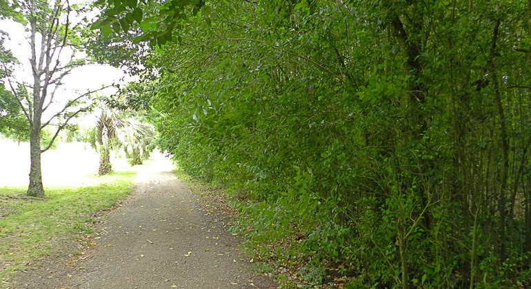 history-nature-and-viticulture-tour-around-colonia-es-8