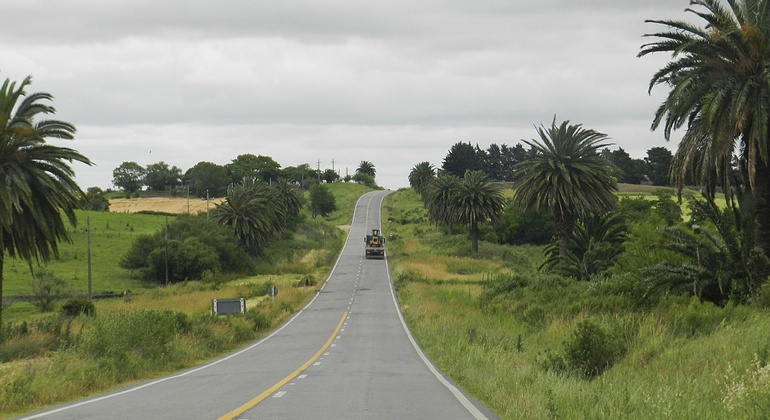history-nature-and-viticulture-tour-around-colonia-es-11