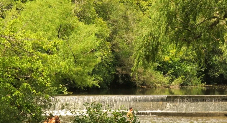 history-nature-and-viticulture-tour-around-colonia-es-14