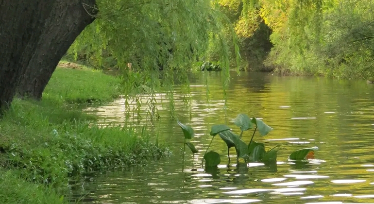 history-nature-and-viticulture-tour-around-colonia-es-15