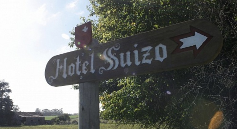 history-nature-and-viticulture-tour-around-colonia-es-17