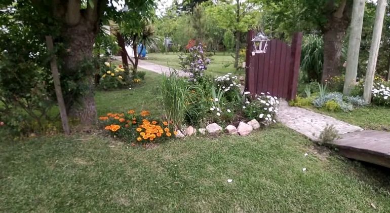 history-nature-and-viticulture-tour-around-colonia-es-18