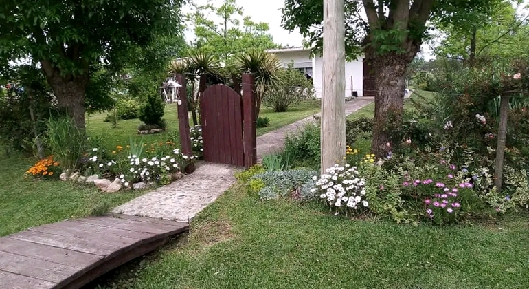 history-nature-and-viticulture-tour-around-colonia-es-19