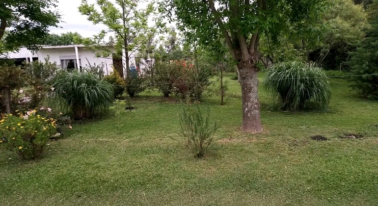 history-nature-and-viticulture-tour-around-colonia-es-20