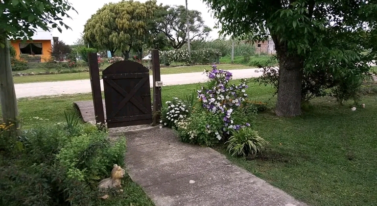 history-nature-and-viticulture-tour-around-colonia-es-21