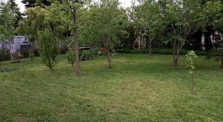 history-nature-and-viticulture-tour-around-colonia-es-23