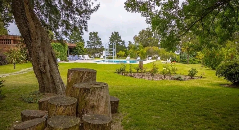 history-nature-and-viticulture-tour-around-colonia-es-25