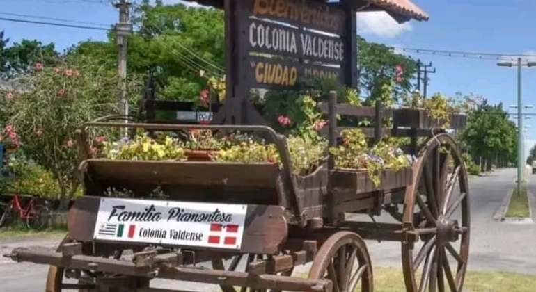 history-nature-and-viticulture-tour-around-colonia-es-27