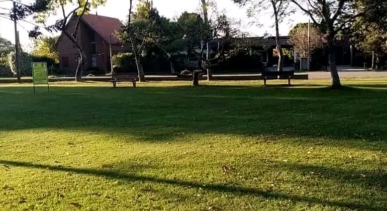 history-nature-and-viticulture-tour-around-colonia-es-28