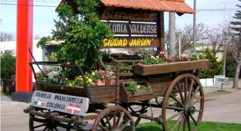 history-nature-and-viticulture-tour-around-colonia-es-29