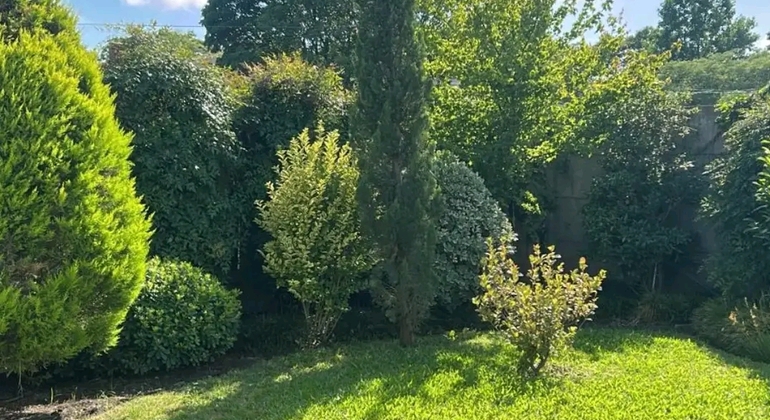 history-nature-and-viticulture-tour-around-colonia-es-30