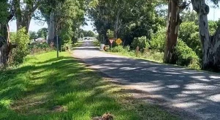 history-nature-and-viticulture-tour-around-colonia-es-31