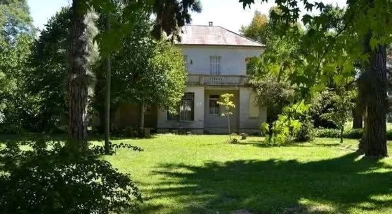 history-nature-and-viticulture-tour-around-colonia-es-32