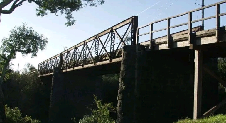 history-nature-and-viticulture-tour-around-colonia-es-33