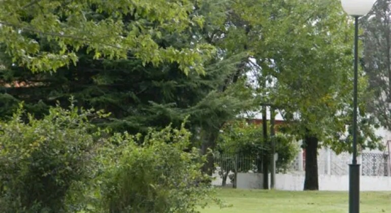 history-nature-and-viticulture-tour-around-colonia-en-25
