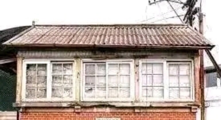 history-nature-and-viticulture-tour-around-colonia-en-28