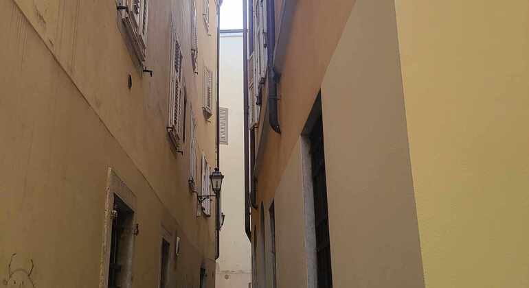 Visite guidée : Trieste, porte de Sion et port pour les Juifs. Italie &mdash; #4