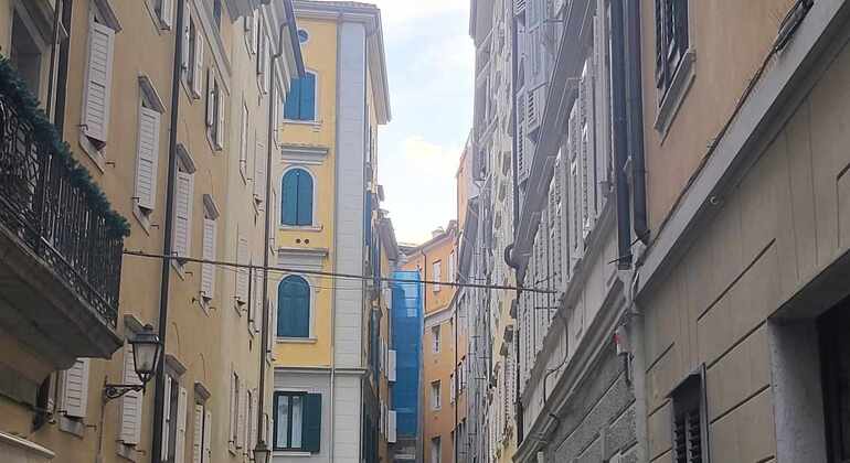 Visite guidée : Trieste, porte de Sion et port pour les Juifs. Italie &mdash; #7