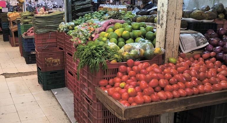 live-like-a-local-in-the-white-merida-free-tour-en-7